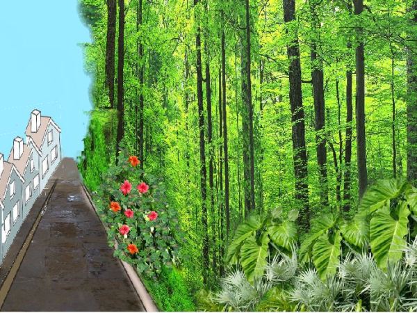 Mi firma (relato corto)