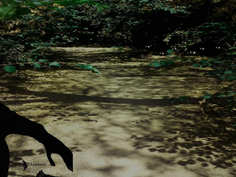 Lamentos (microrrelato)