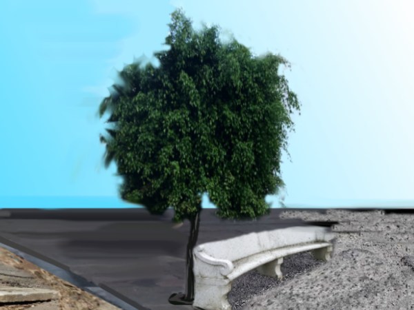 Carmen M. Sosa: los fluorescentes (4)