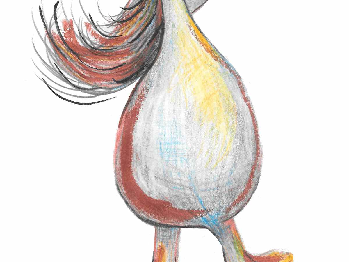 Sonrisa de cartón (relato corto)