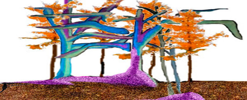 Árboles plantados, siempre en presente