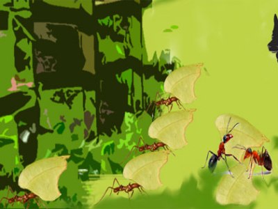 También somos seres vivos (relato corto)