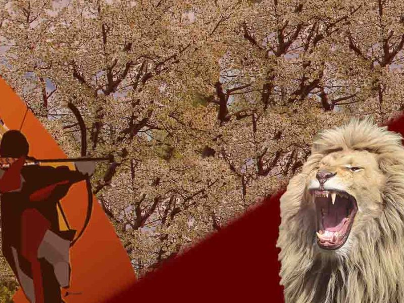 Humano en el bosque (microrrelato)