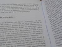 Grietas domésticas (relato corto)