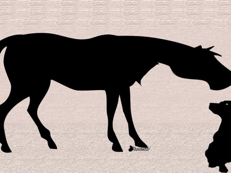 Mitos y leyendas: Perro Paco y su amigo (relato corto)