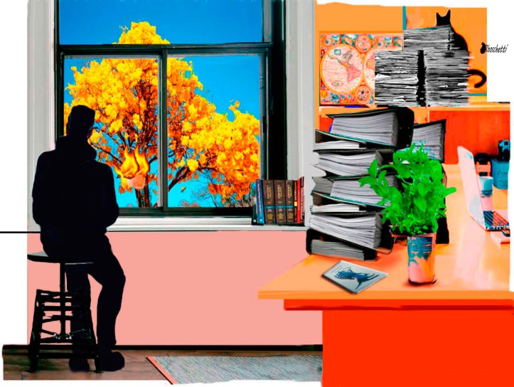 En el trabajo Saturnino Segundo observa que redujeron a ceniza una colmena de abejas