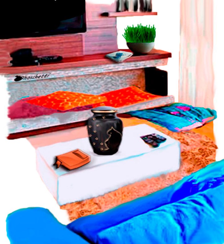 Urna con las cenizas de un gato negro (Bram) sobre la mesa del Piso de Daniel. El libro Malas decisiones en el estante del TV