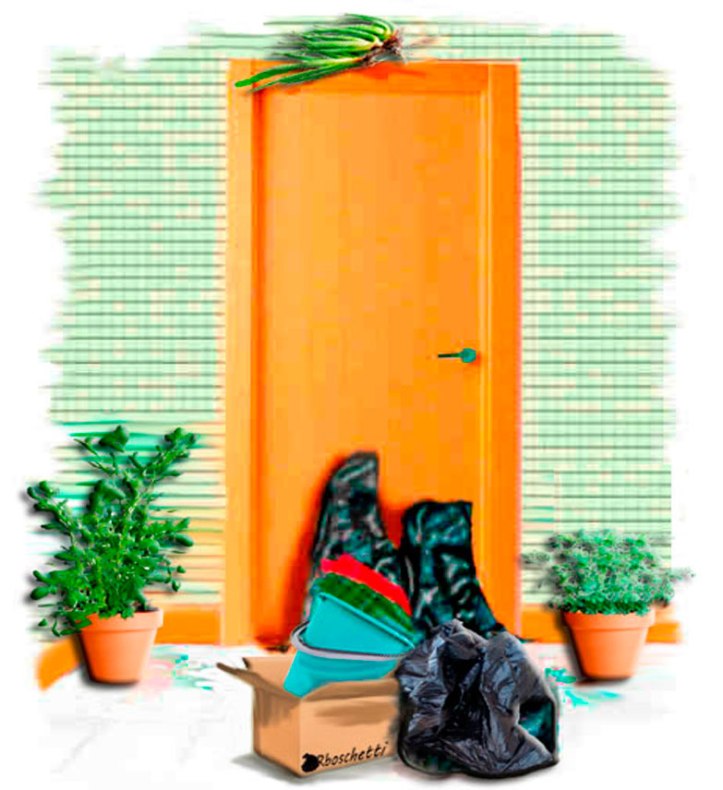 La planta de ruda macho a la izquierda de la puerta y la hembra a la derecha. El aloe vera en medio de ellas cuelga del dintel de la puerta. Habitación del hostal. Basura apilada en la puerta.
