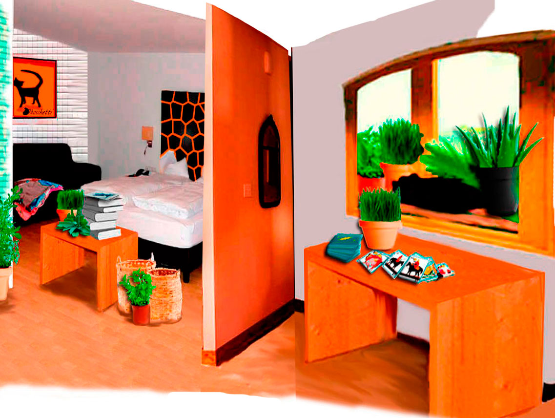 Habitación del hostal en orden. Lectura barajas con un gato negro (Bram) en la ventana.