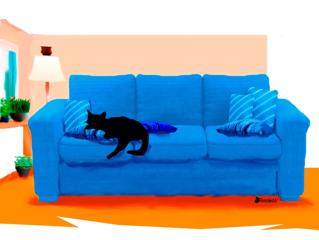 En el sofá del Piso de Daniel, duerme el gato negro (Bram)