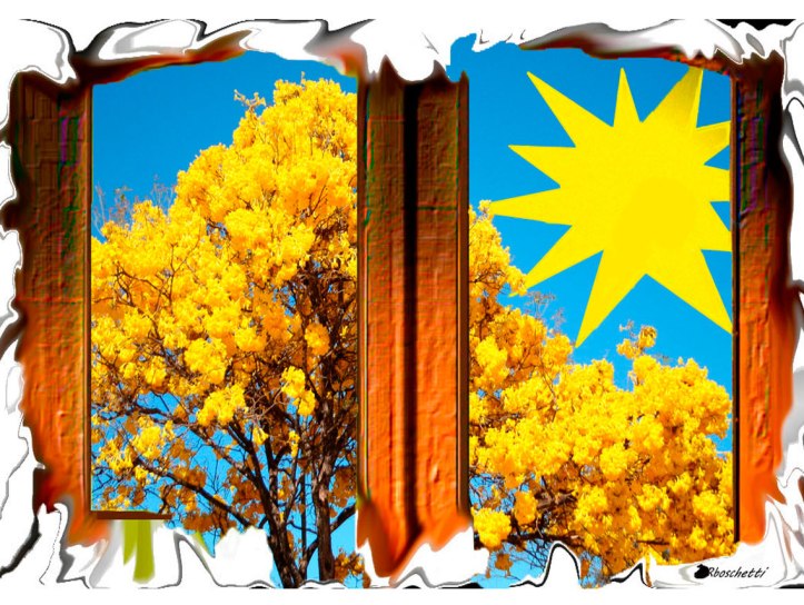 Visión desde la ventana de la habitación de la casa de los padres de Saturnino Segundo