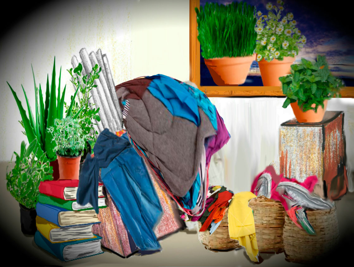 Cosas de Saturnino Segundo y plantas apiladas. Habitación del hostal