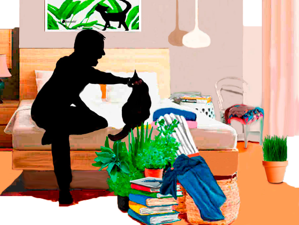 Vivir con un gato. Habitación del hostal ordenada, libro Malas decisiones sobre otros libros