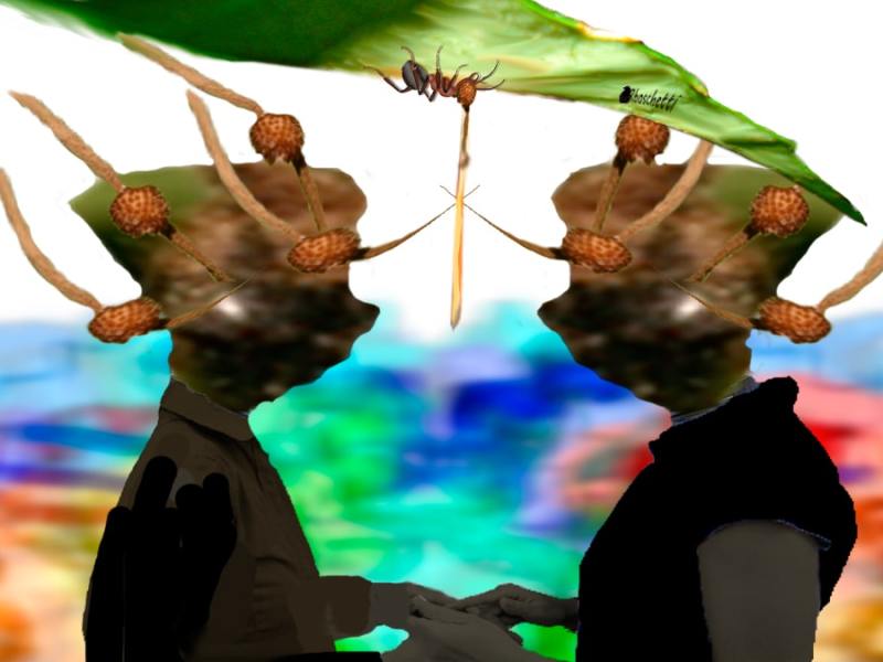 Crece y controla (relato corto)