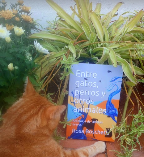 A propósito de: Entre gatos, perros y otros animales, antología de cuentos breves