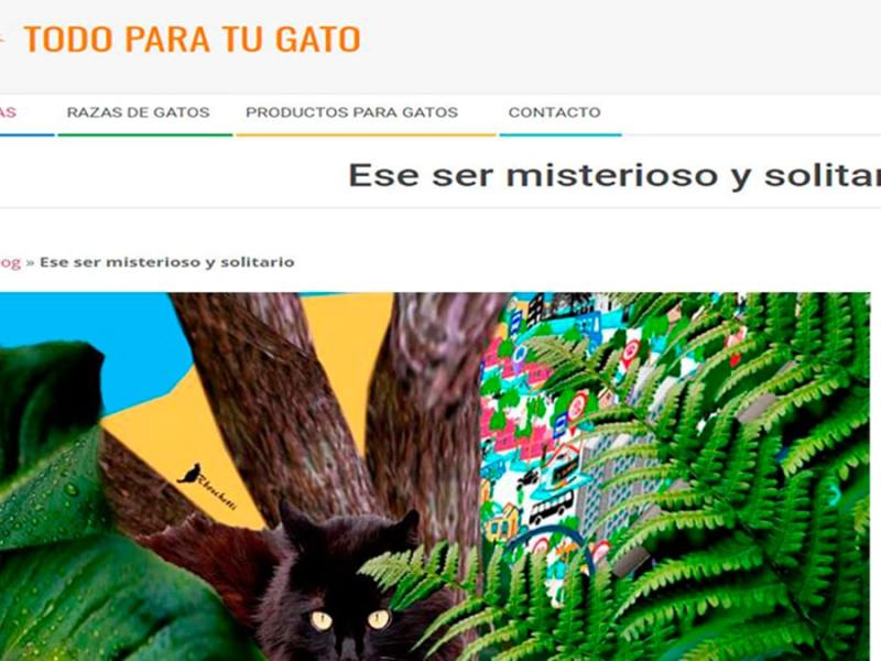 Colaboración para Todoparatugato: Ese ser misterioso y solitario  (relato corto)