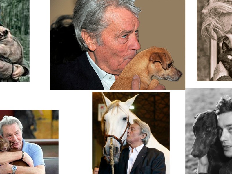 A propósito de Alain Delon