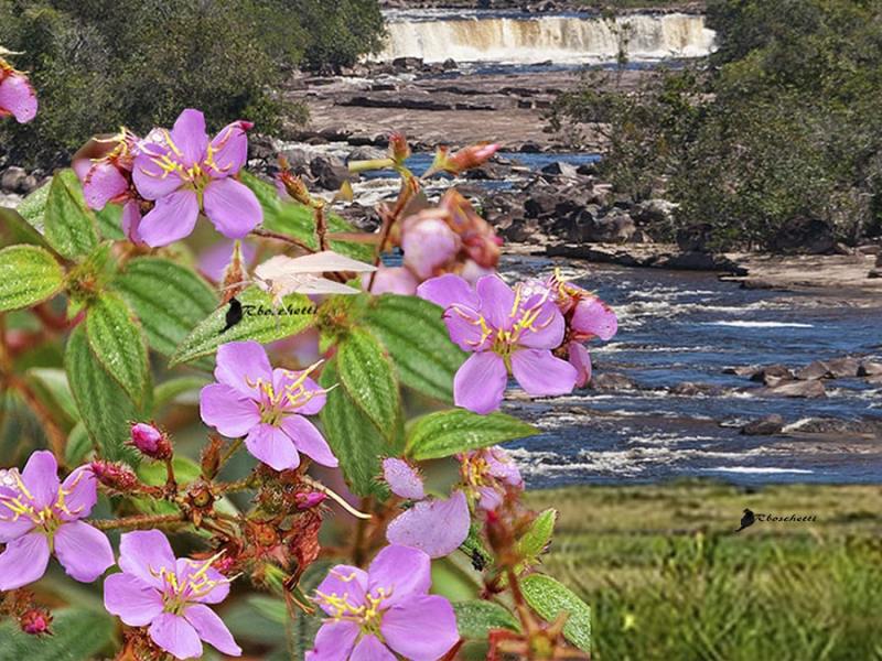 Auto-profecía cumplida ✔ (relato corto)