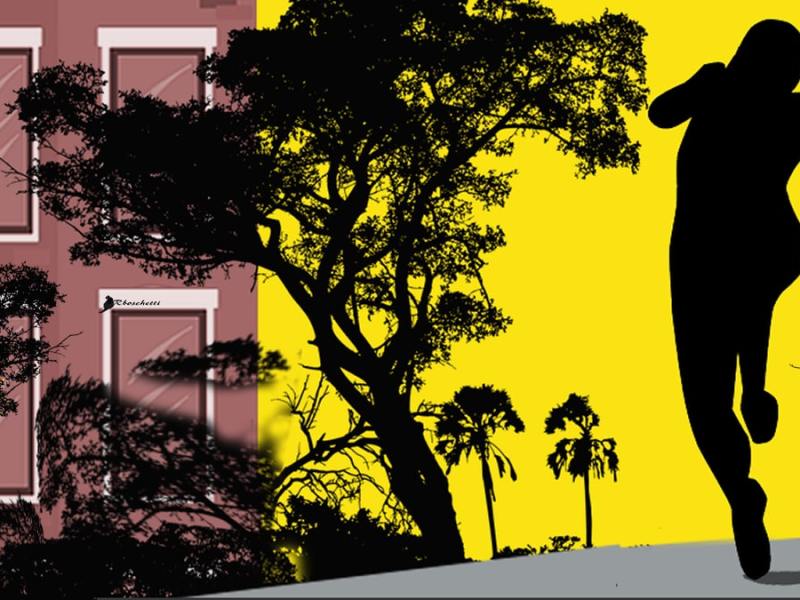 De pulga a humano (relato corto)