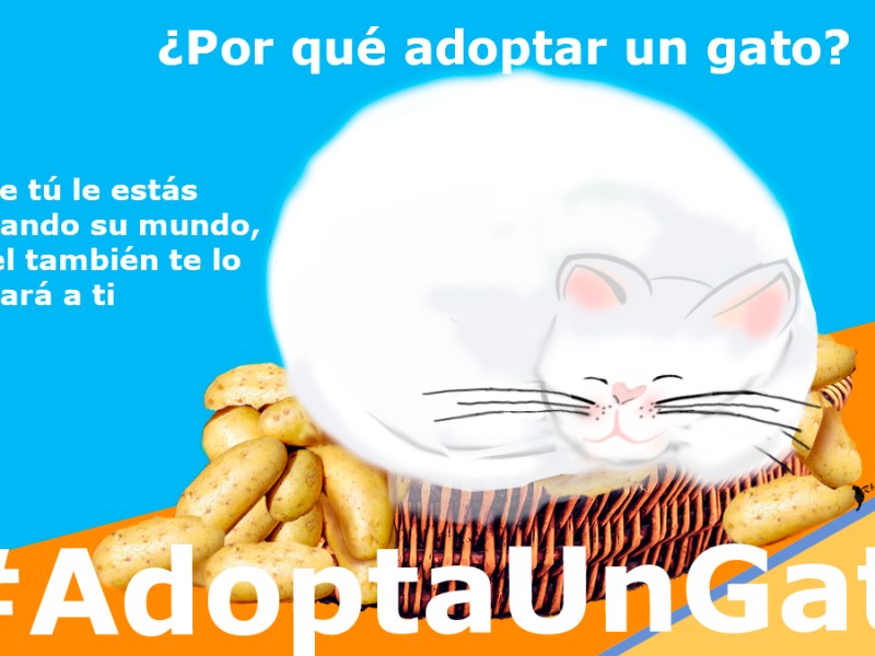 Ahora caminan juntos. Parte IV