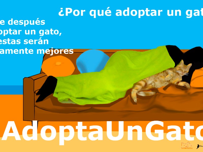 Siestas en compañía. Parte VI