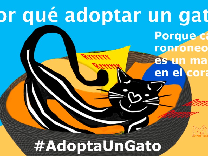 Masaje en el corazón. Parte VIII