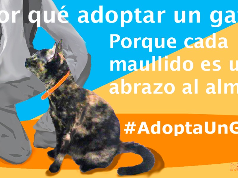 Un abrazo al alma. Parte IX