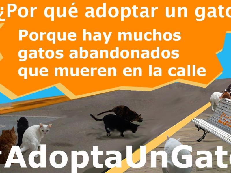 Una vida sin valor. Parte XI